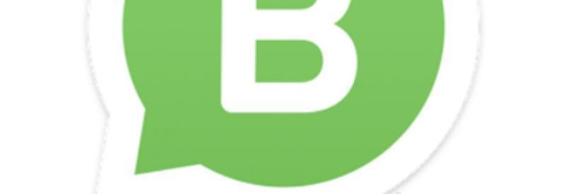 WhatsApp Business llega a España