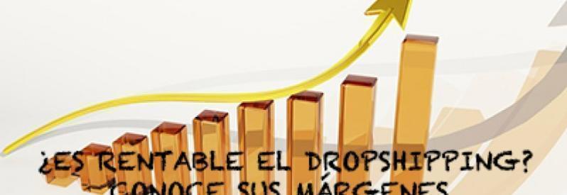 ¿Cual es el porcentaje de beneficios en dropshipping?